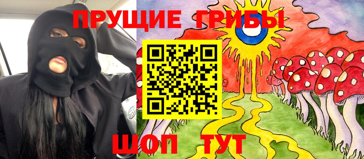 Псилоцибиновые грибы прущие грибы Шелехов