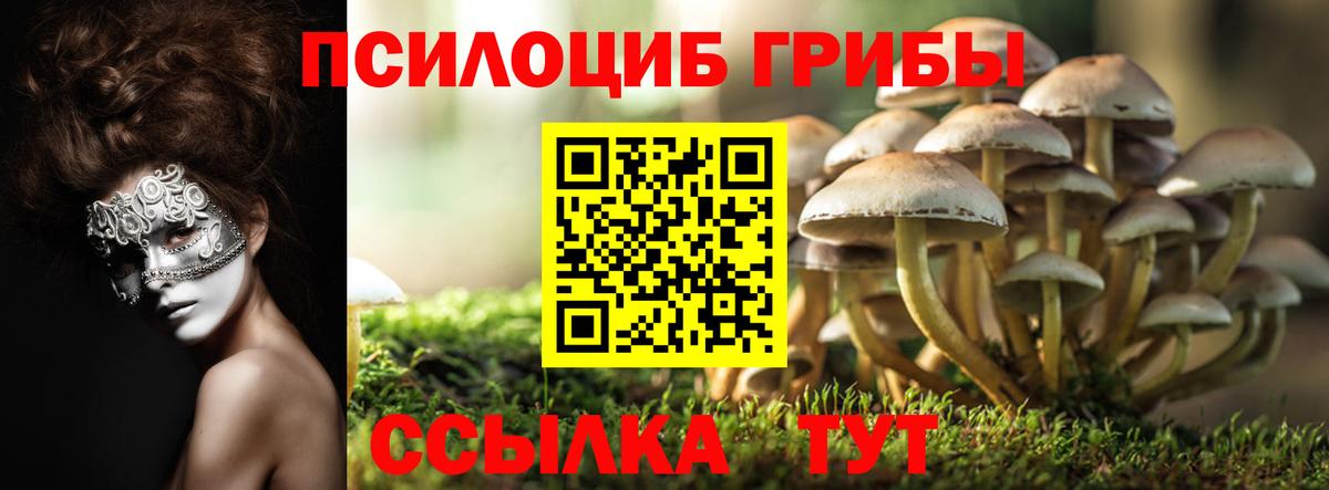 Галлюциногенные грибы мухоморы  где купить наркоту  Шелехов  Вход с VPN 